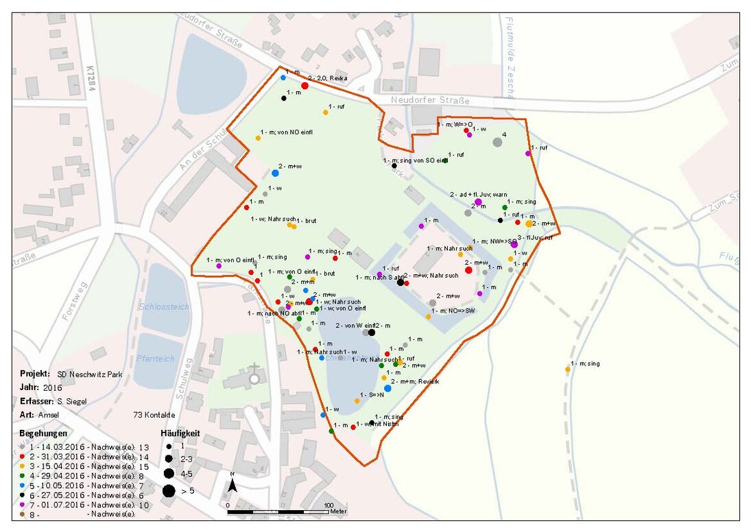 Ergebnis der Siedlungsdichteerhebung der Amsel im Schlosspark Neschwitz. Abb.: Archiv FöVer VSW Neschwitz