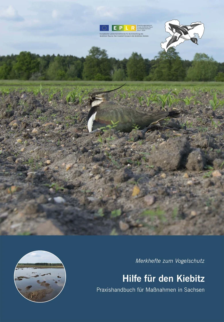 Cover des Merkheftes Hilfe für den Kiebitz. Dargestellt ist ein brütender Kiebitz auf einem Acker