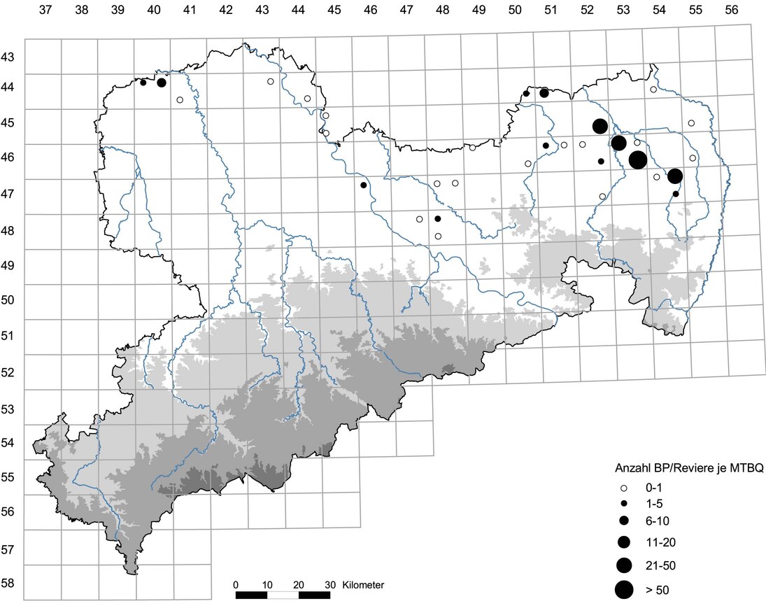 Brutbestand der Flussseeschwalbe (Abb. 1 aus "STEFFENS R (2006): Sachsen. In: GEDEON K, MITSCHKE A & SUDFELDT C (Hrsg.): Brutvögel in Deutschland – Erster Bericht. Hohenstein-Ernstthal. 40-41.")