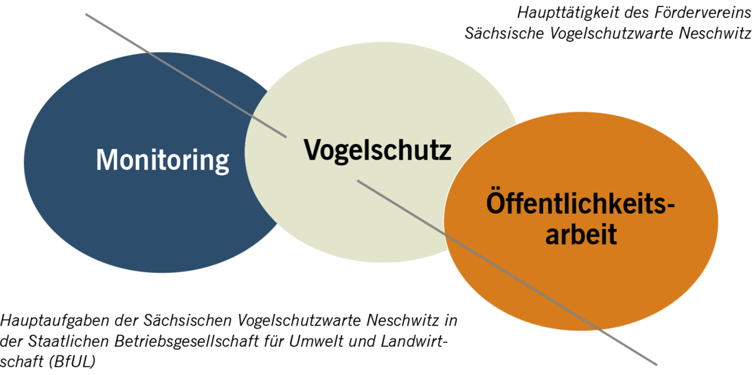 Haupttätigkeiten der Sächsischen Vogelschutzwarte Neschwitz in der Staatlichen Betriebsgesellschaft für Umwelt und Landwirtschaft (BfUL) und des Fördervereins Sächsische Vogelschutzwarte Neschwitz e. V.