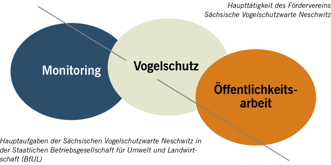 Haupttätigkeiten der Sächsischen Vogelschutzwarte Neschwitz in der Staatlichen Betriebsgesellschaft für Umwelt und Landwirtschaft (BfUL) und des Fördervereins Sächsische Vogelschutzwarte Neschwitz e. V.