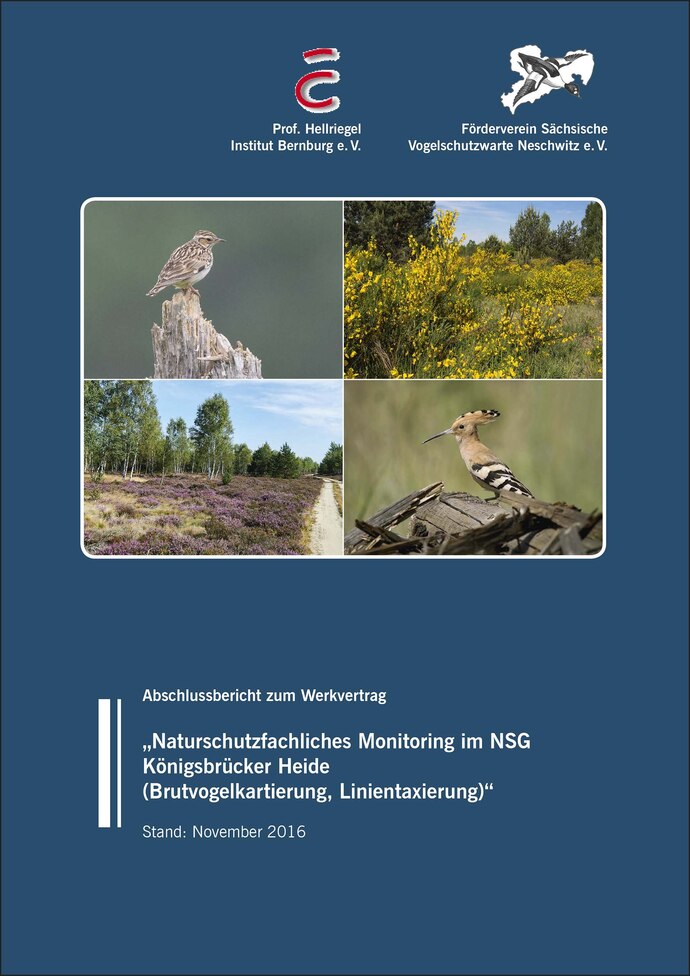 Cover des Berichtes zur Linientaxierung in der Königsbrücker Heide in den Jahren 2014 und 2015