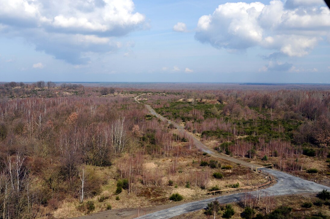 Blick vom Haselbergturm bei Königsbrück über die Königsbrücker Heide im Frühjahr. 