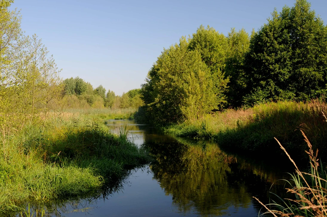 Aue an der Pulsnitz. 