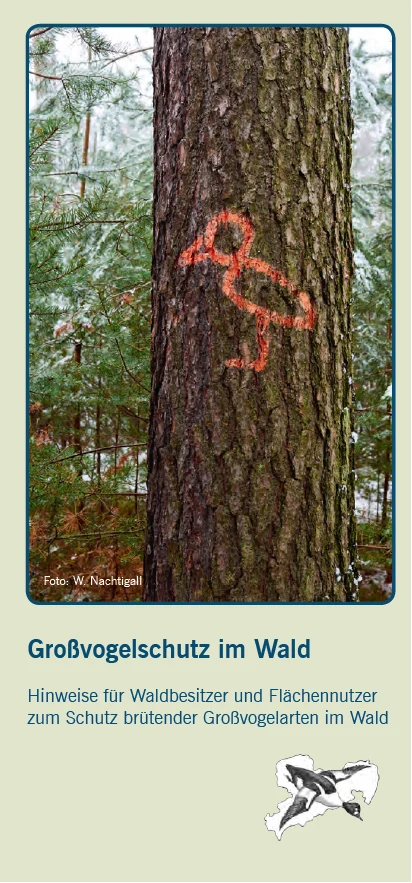 Deckblatt des Flyers Großvogelschutz im Wald