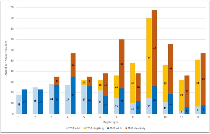 Die Grafik zeigt die Neuberingungen am Holschaer Teich in den IMS-Saisons 2018 und 2019. Eingeteilt in Altvögel und Diesjährige.