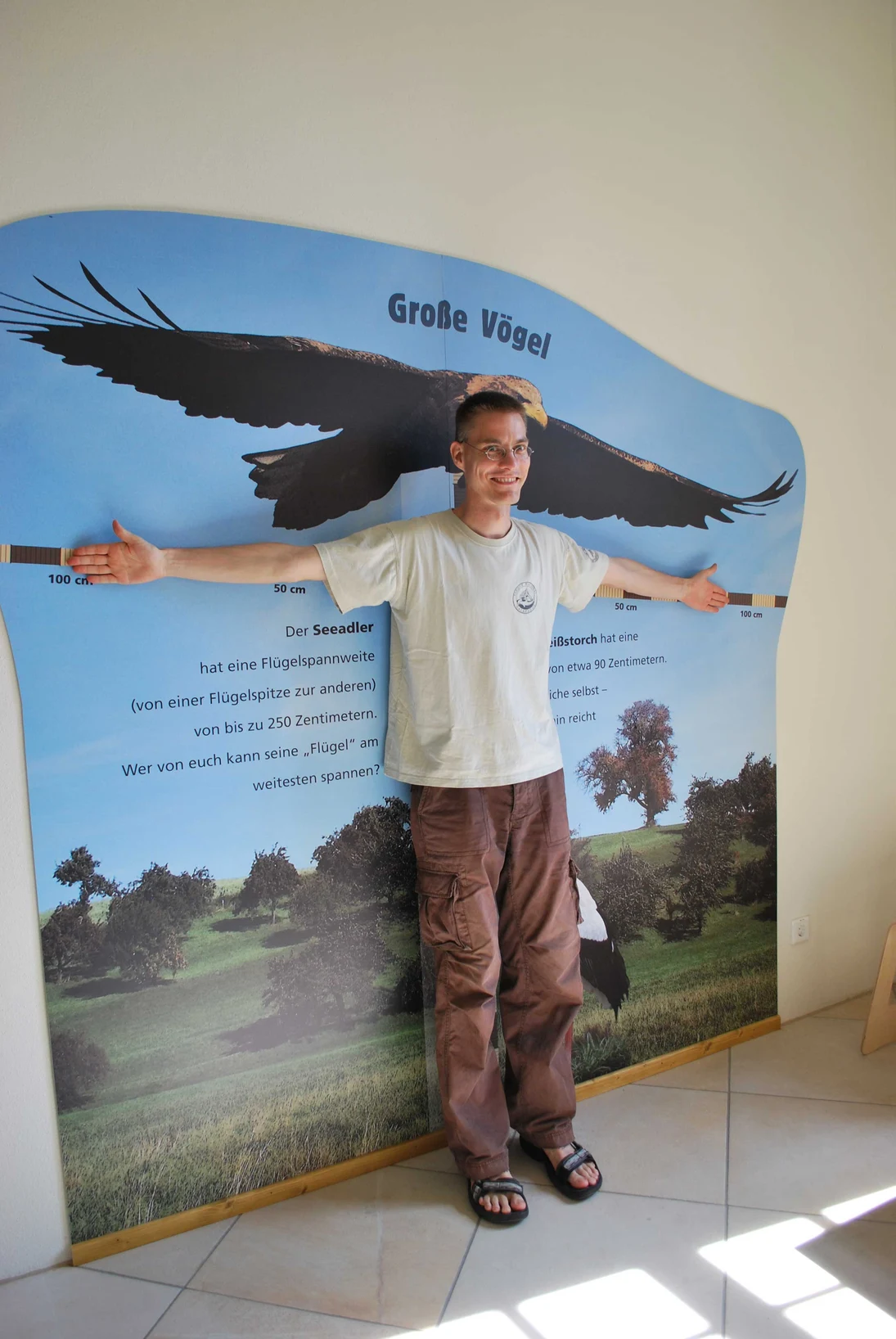 Bist du so groß wie ein Seeadler oder ein Weißstorch?