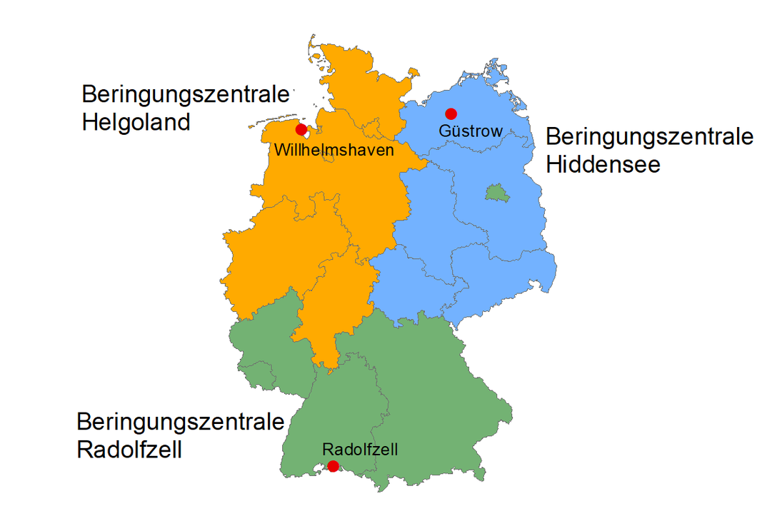 Beringungszentralen in Deutschland mit Zuständigkeitsraum Stand 2018. 