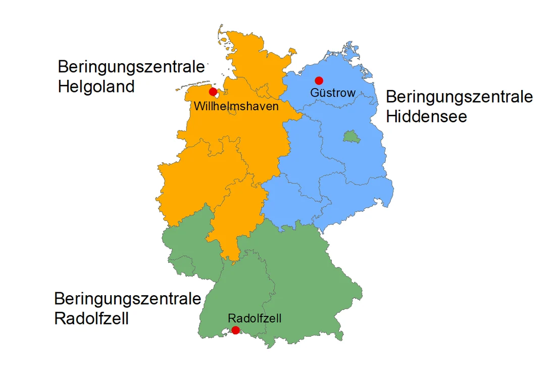 Beringungszentralen in Deutschland mit Zuständigkeitsraum Stand 2018.