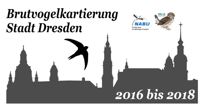 Logo Brutvogelkartierung Dresden