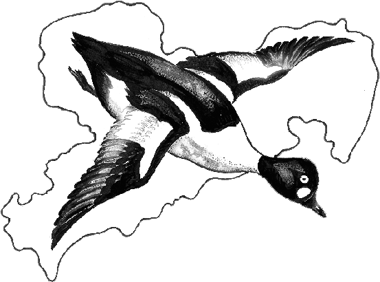 Das Logo der Vogelschutzwarte, gestaltet von Klaus Kegel.