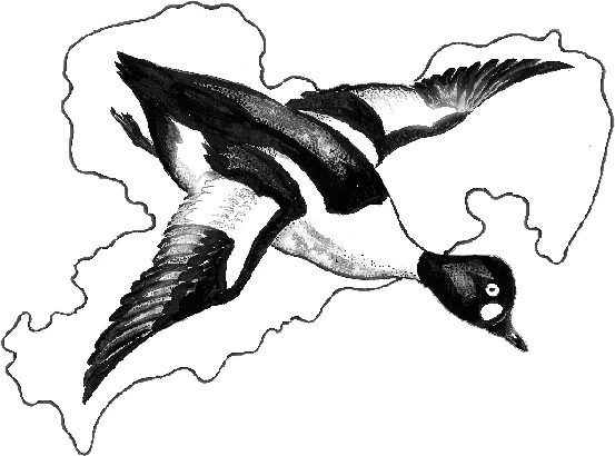 Das Logo der Vogelschutzwarte, gestaltet von Klaus Kegel.