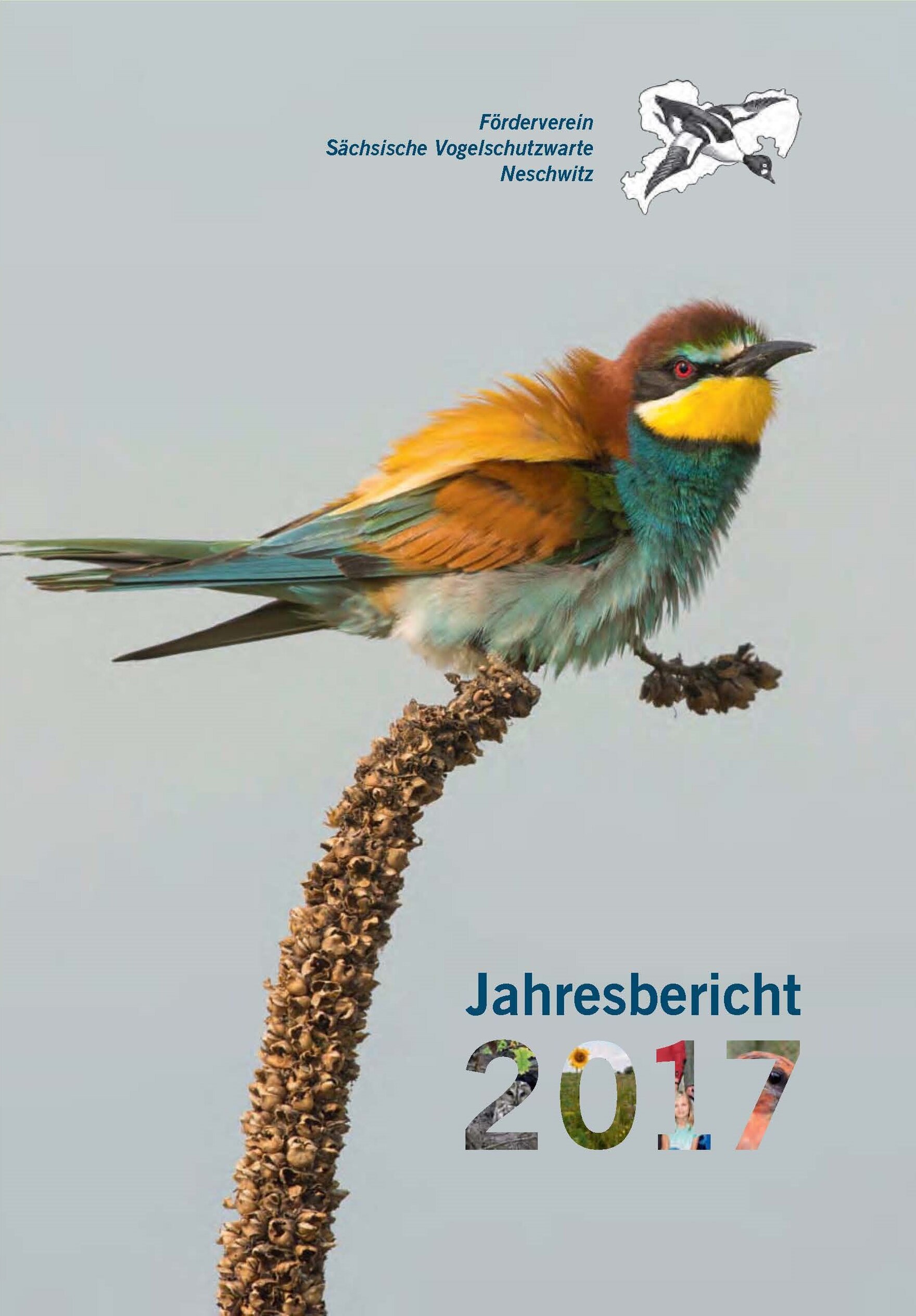 Cover vom Jahresbericht 2017