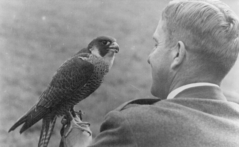 Arnold Freiherr von Vietinghoff-Riesch (1895–1962) war neben seinen vielfältigen Interessen auch begeisterter Falkner 