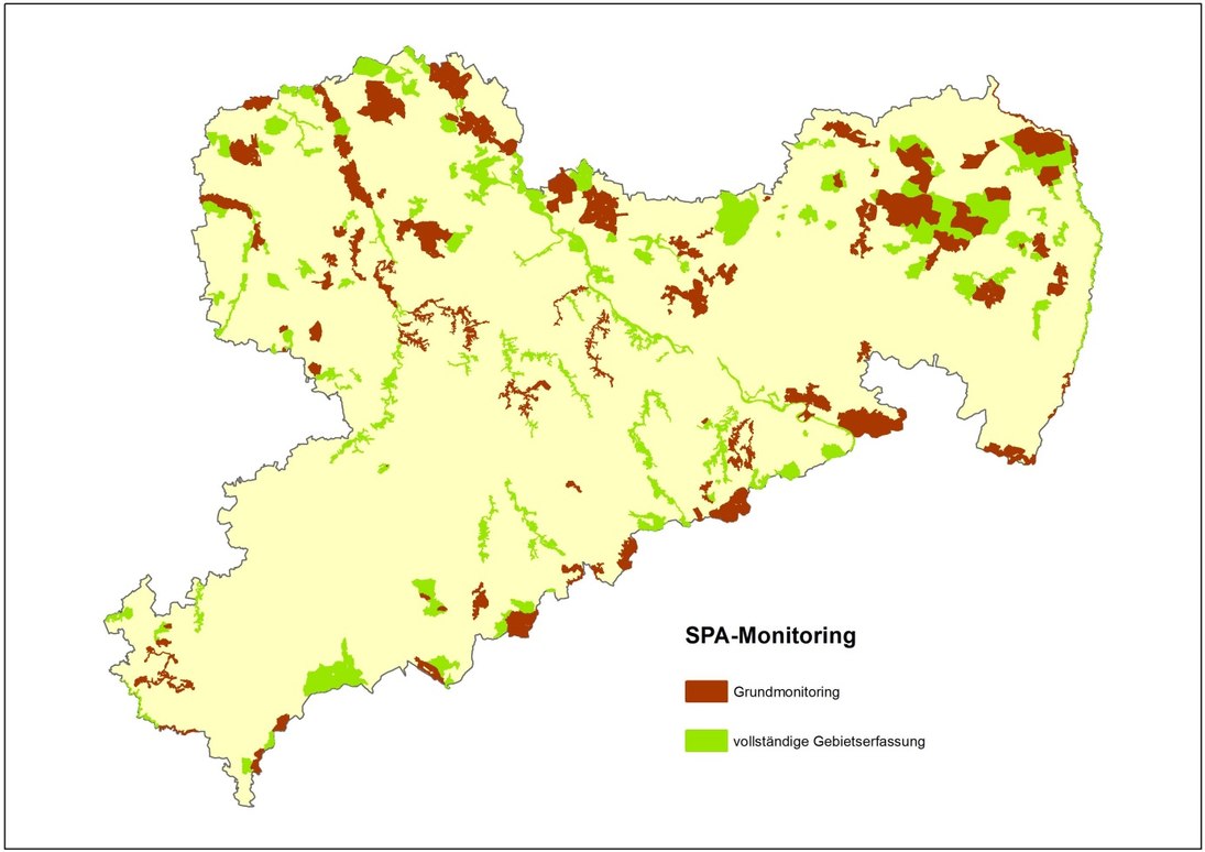 Gebietskulisse des SPA-Monitorings. Gebiete bzw. Gebietsteile, in denen (nur) eine vollständige Gebietserfassung durchgeführt wird, sind grün dargestellt.