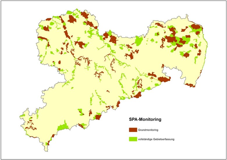 Gebietskulisse des SPA-Monitorings. Gebiete bzw. Gebietsteile, in denen das Grundmonitoring durchgeführt wird, sind braun dargestellt.