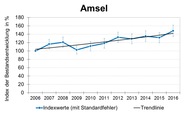 Beispiel: Der ermittelte Bestandstrend der Amsel (Turdus merula) deutet auf eine starke Zunahme der Art in Sachsen im letzten Jahrzehnt hin.