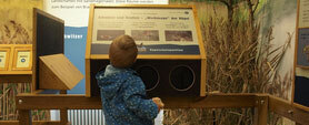 Interaktive Dauerausstellung Neschwitzer Vogelschutzpavillon