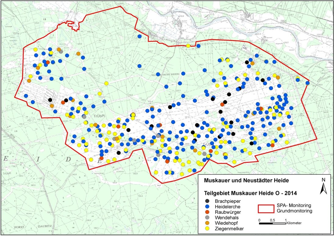 Verteilung der Reviere ausgewählter Arten in einem Teilgebiet des SPA „Muskauer und Neustädter Heide“ im Jahre 2014. Die Vorkommen dieser Vogelarten konzentrieren sich in den offenen und halb-offenen Bereichen.