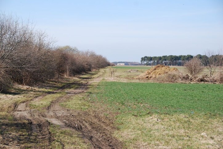 Typischer kleinstrukturierter Lebensraum des Rebhuhns am Feldrand