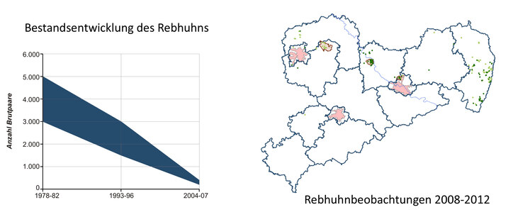 Die Graphik links verdeutlicht den dramatischen Rückgang dieser Art. Die Fundpunkte (grün) in der Karte Sachsens zeigen eindrucksvoll die Lücken im Vorkommen.