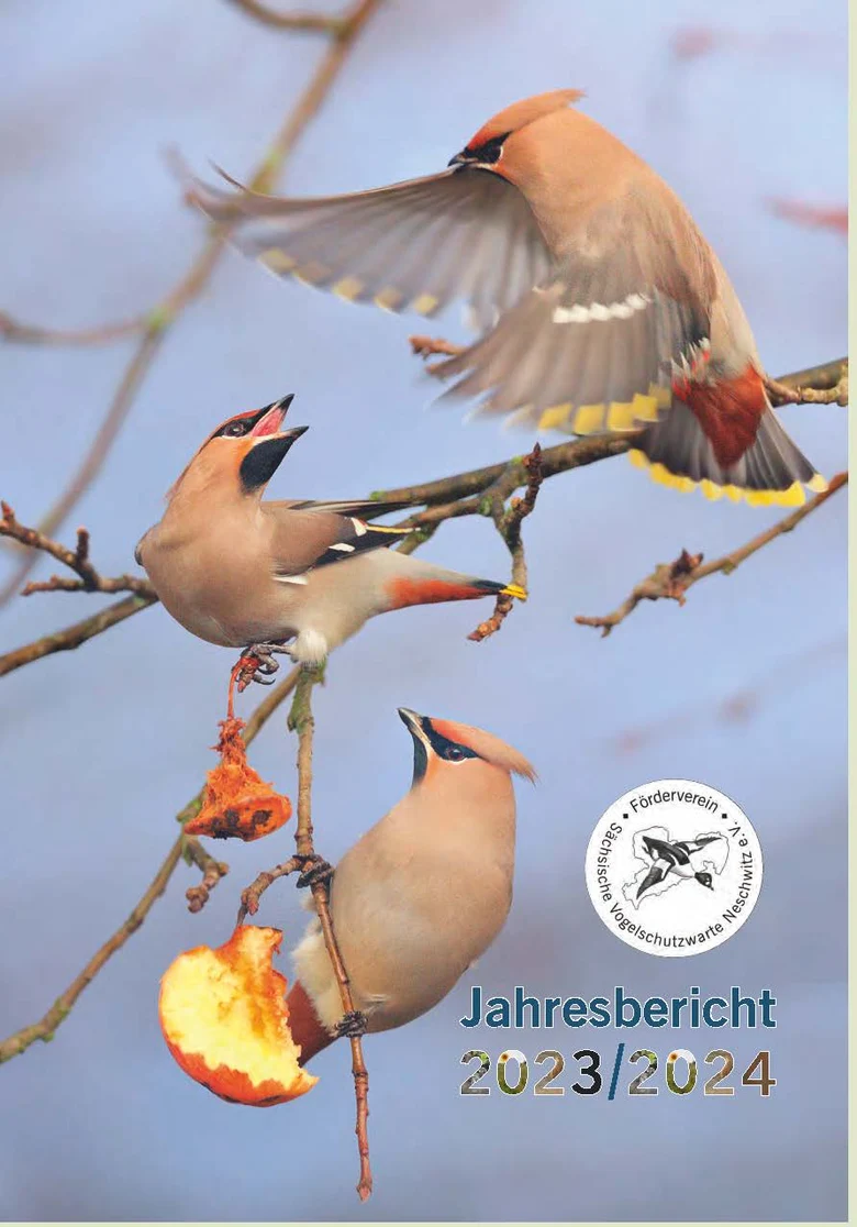 Jahresbericht_Titelseite