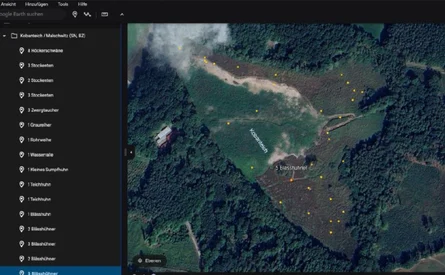 Kartendarstellung Ornitho mit Google Earth