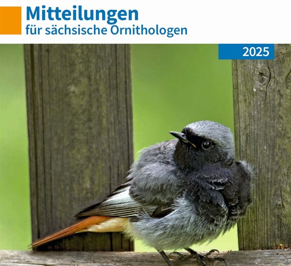 Titelseite_Mitteilungsheft_mit_Hausrotschwanz