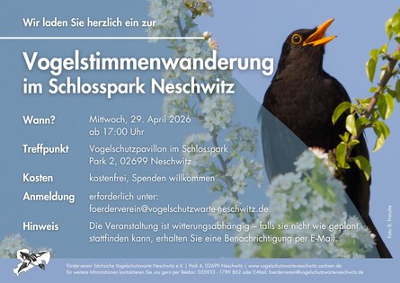 Flyer_Infos_Vogelstimmenwanderung_mit_Amsel